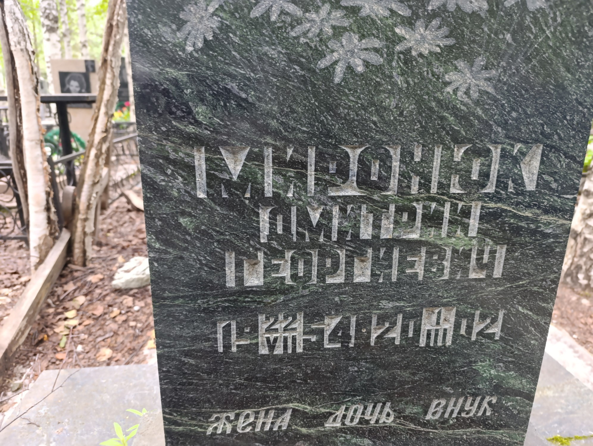 Миронюк Дмитрий Георгиевич