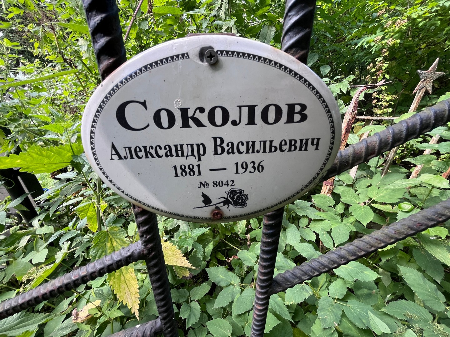 Соколов