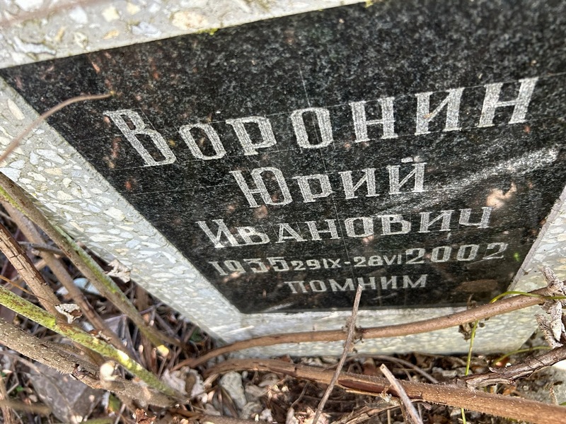 Воронин