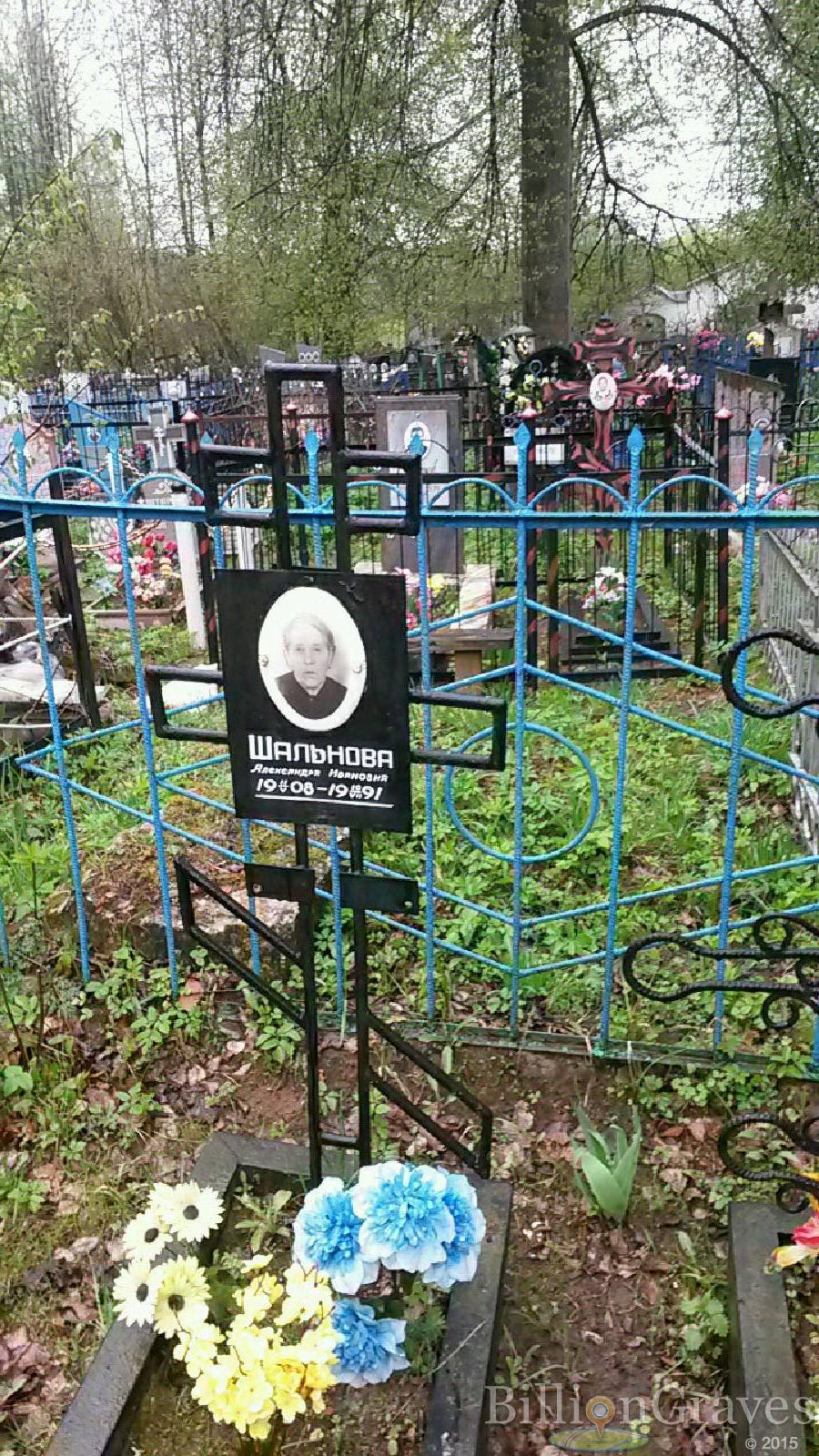 шальнова александра ивановна