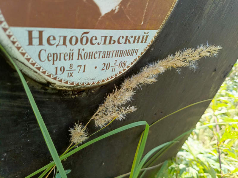 Недобельский