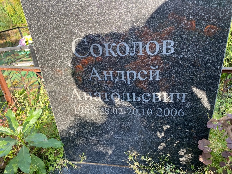 Соколов