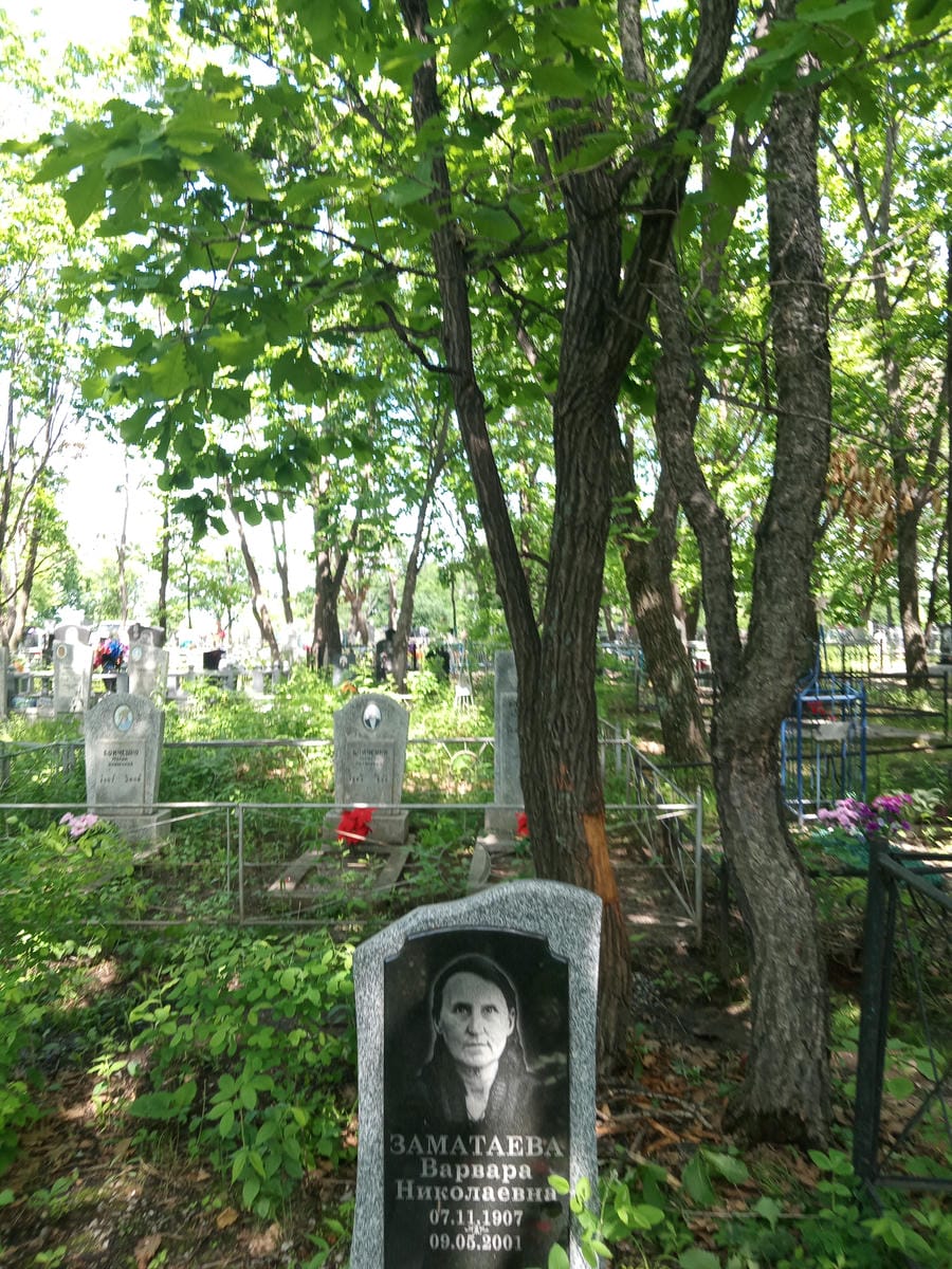Заматаева Варвара Николаевна