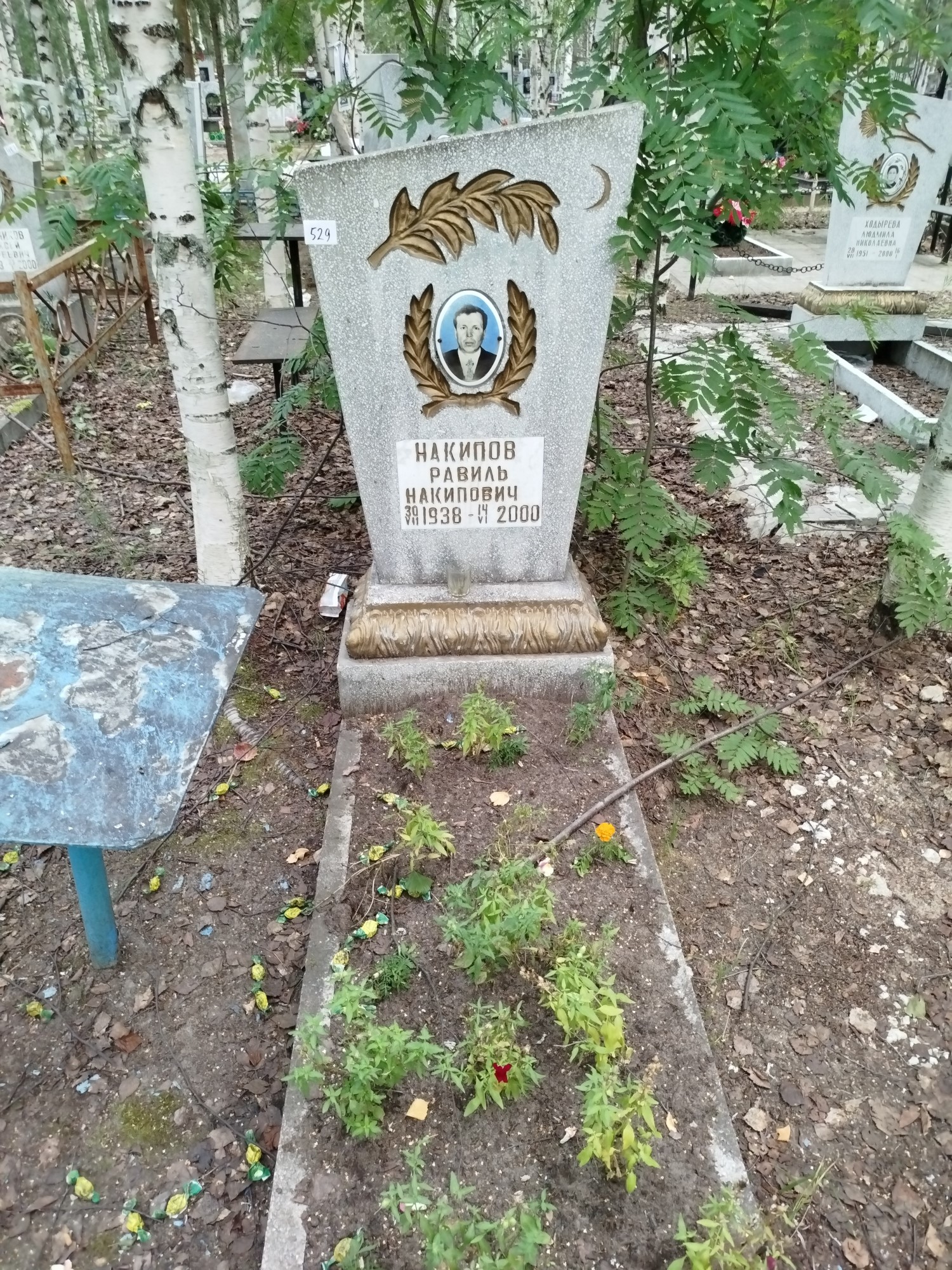 Накипов Равиль Накипович