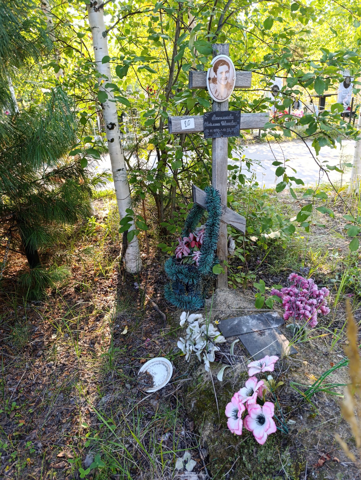 Василькова Светлана Ивановна
