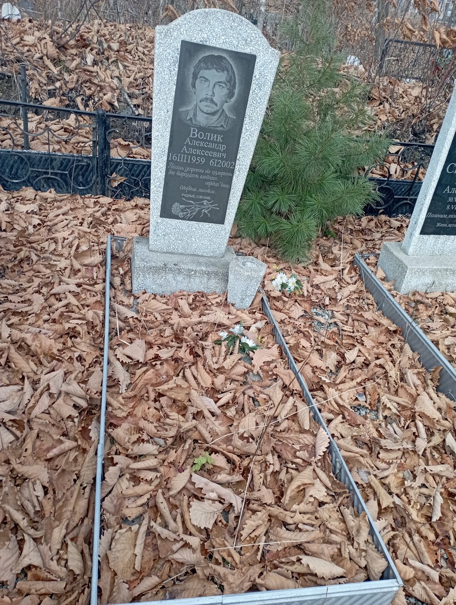 Волик Александр Алексеевич