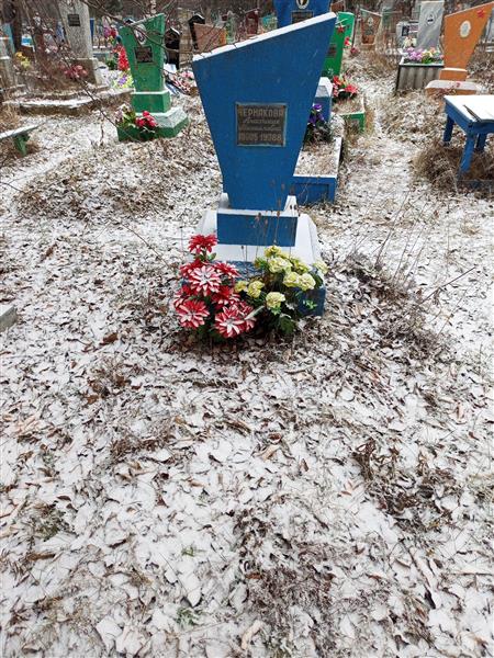 Чернакова Анастасия Михайловна