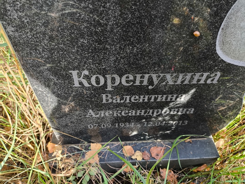 Коренухина