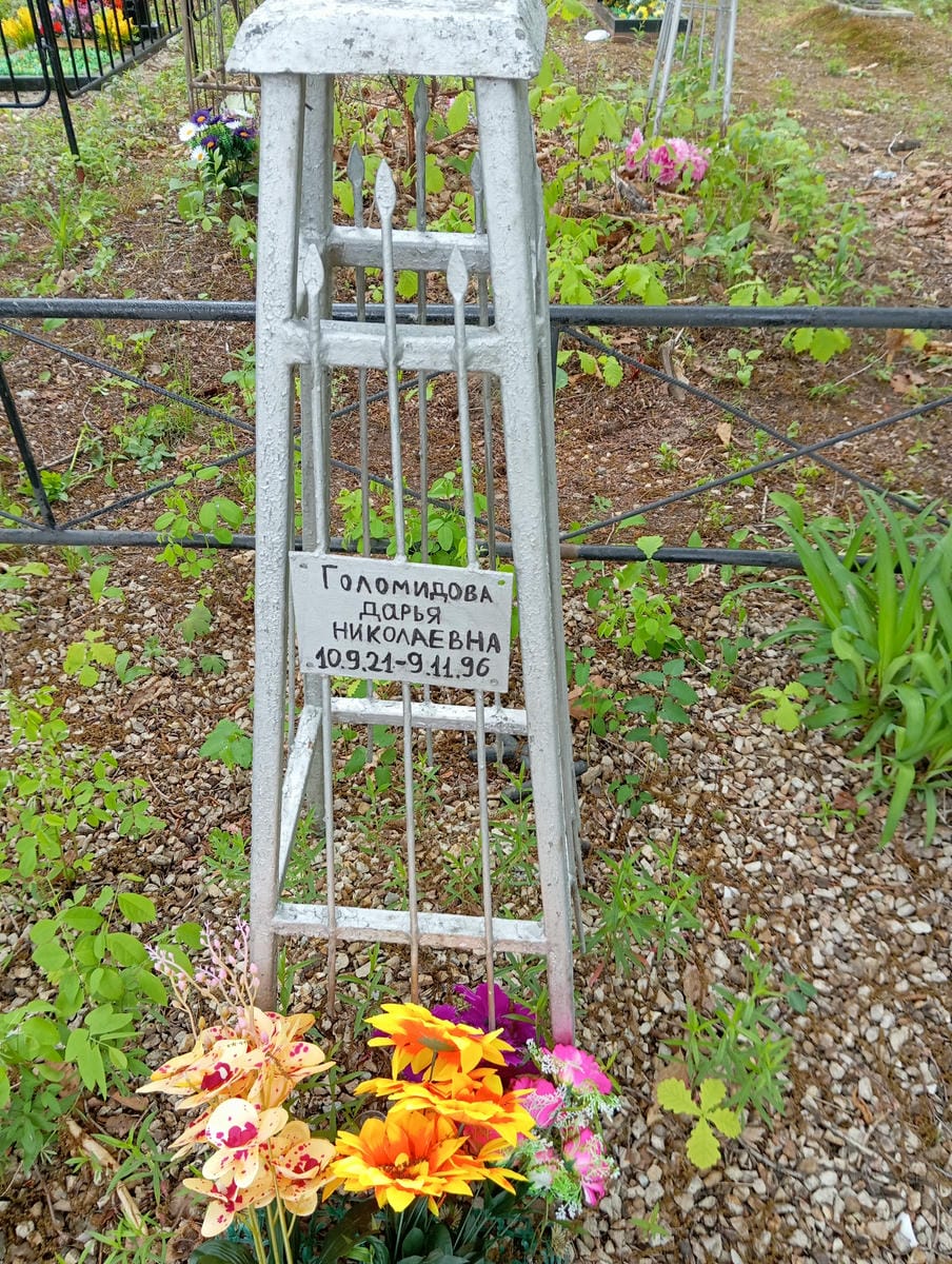 Голомидова Дарья Николаевна