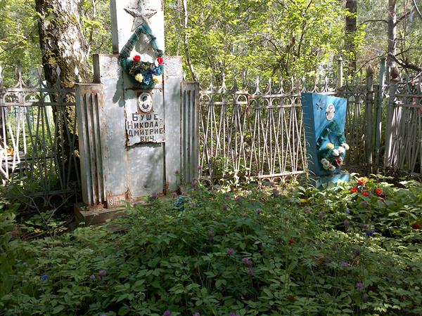 Буше Николай Дмитриевич