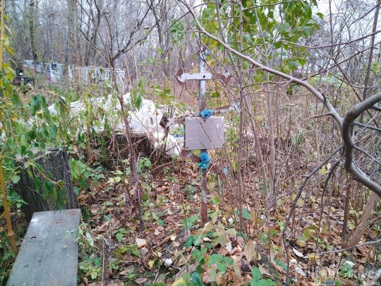 Берковский Павел Михайлович