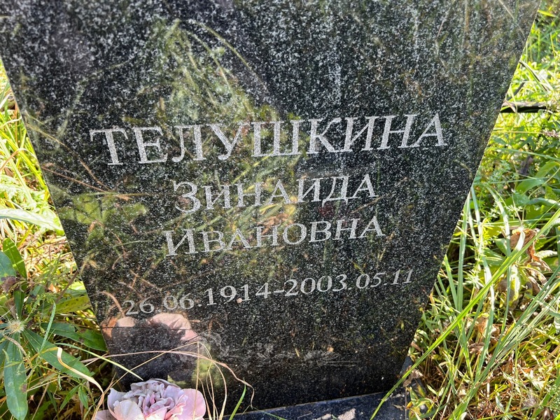 Телушкина