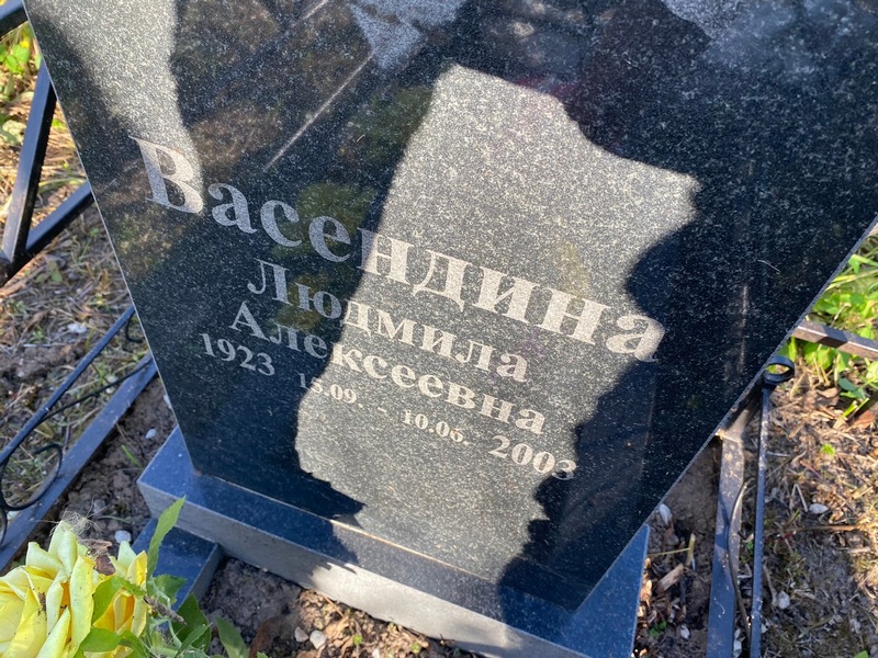 Васендина
