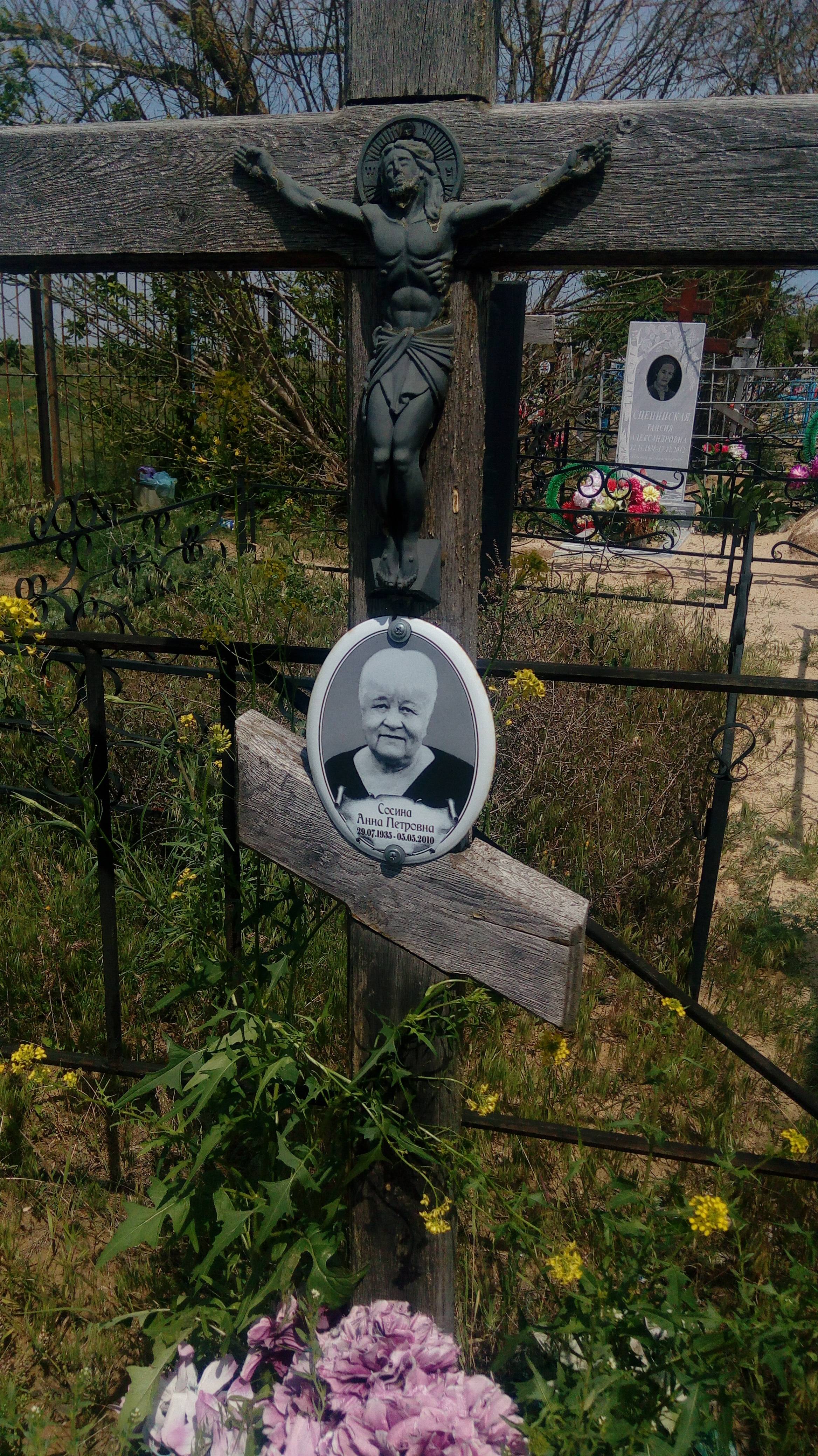 Сосина Анна Петровна
