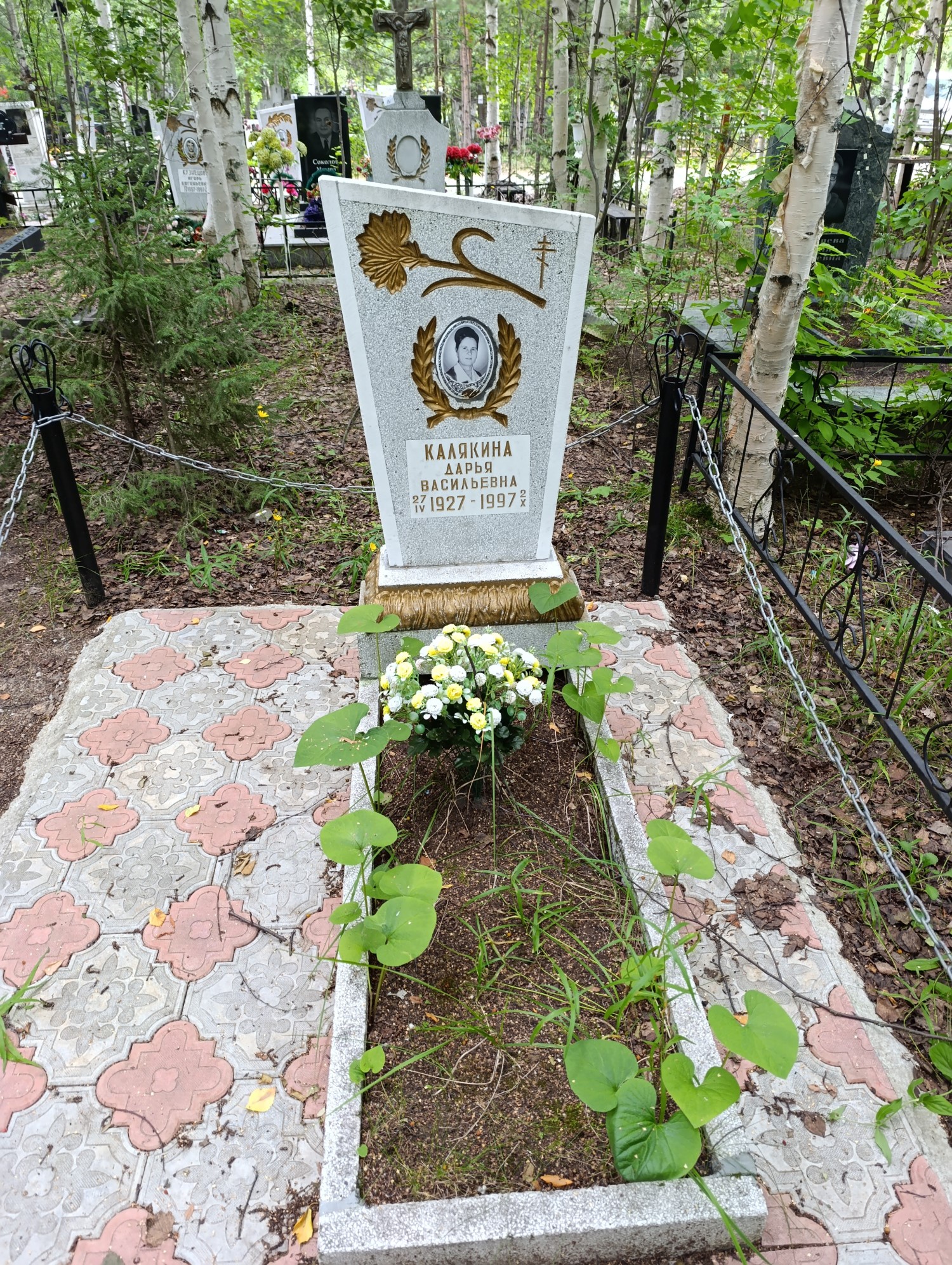 Калякина Дарья Васильевна