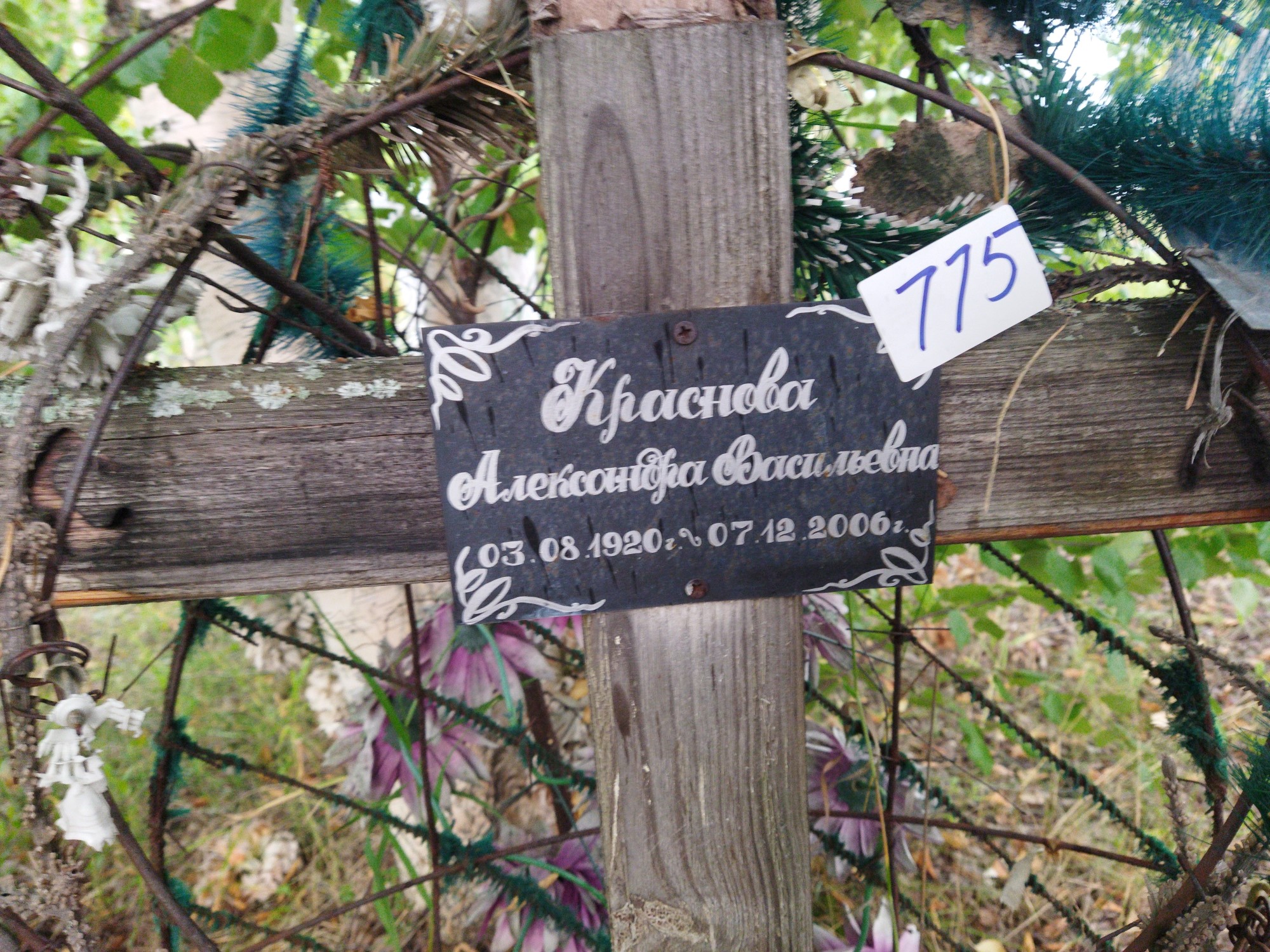 Краснова Александра Васильевна
