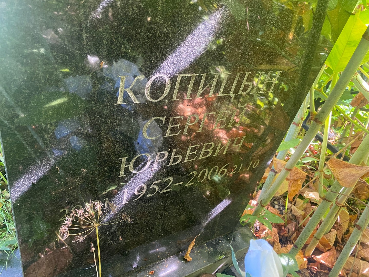 Копицын