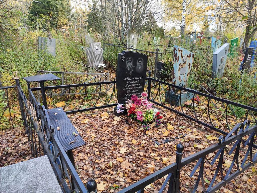 Маркин Николай Ефимович