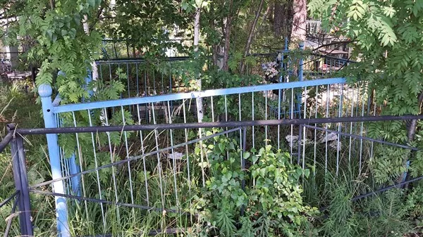 Плешков Павел