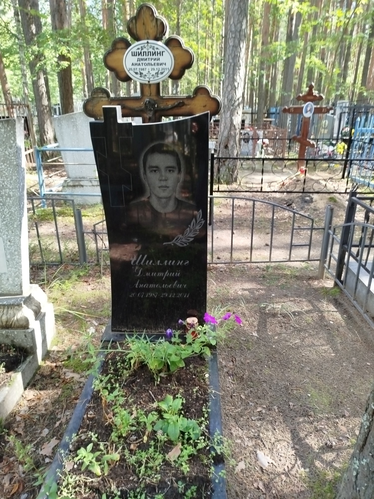 Шиллинг Дмитрий Анатольевич