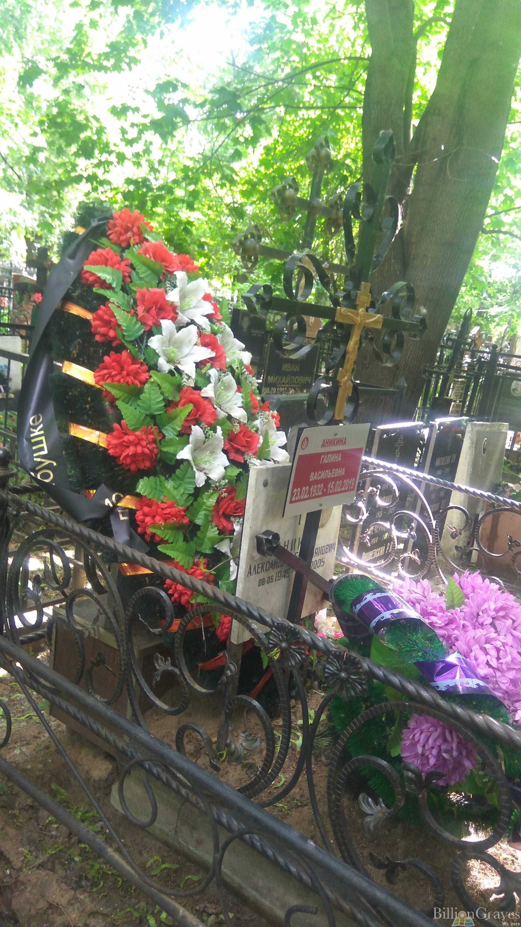 Аникин Александр