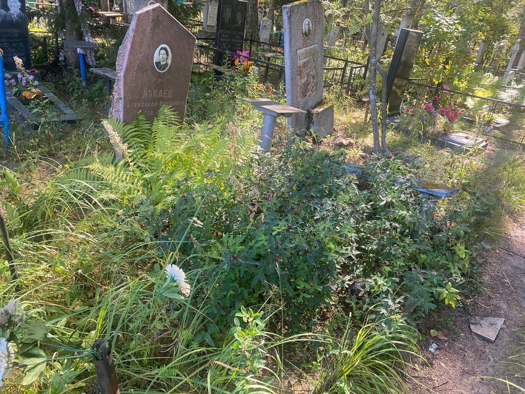 Лякаев Александр Иванович