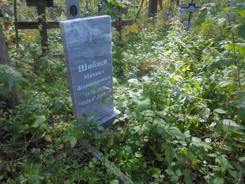 Шибаев Михаил Флавианович