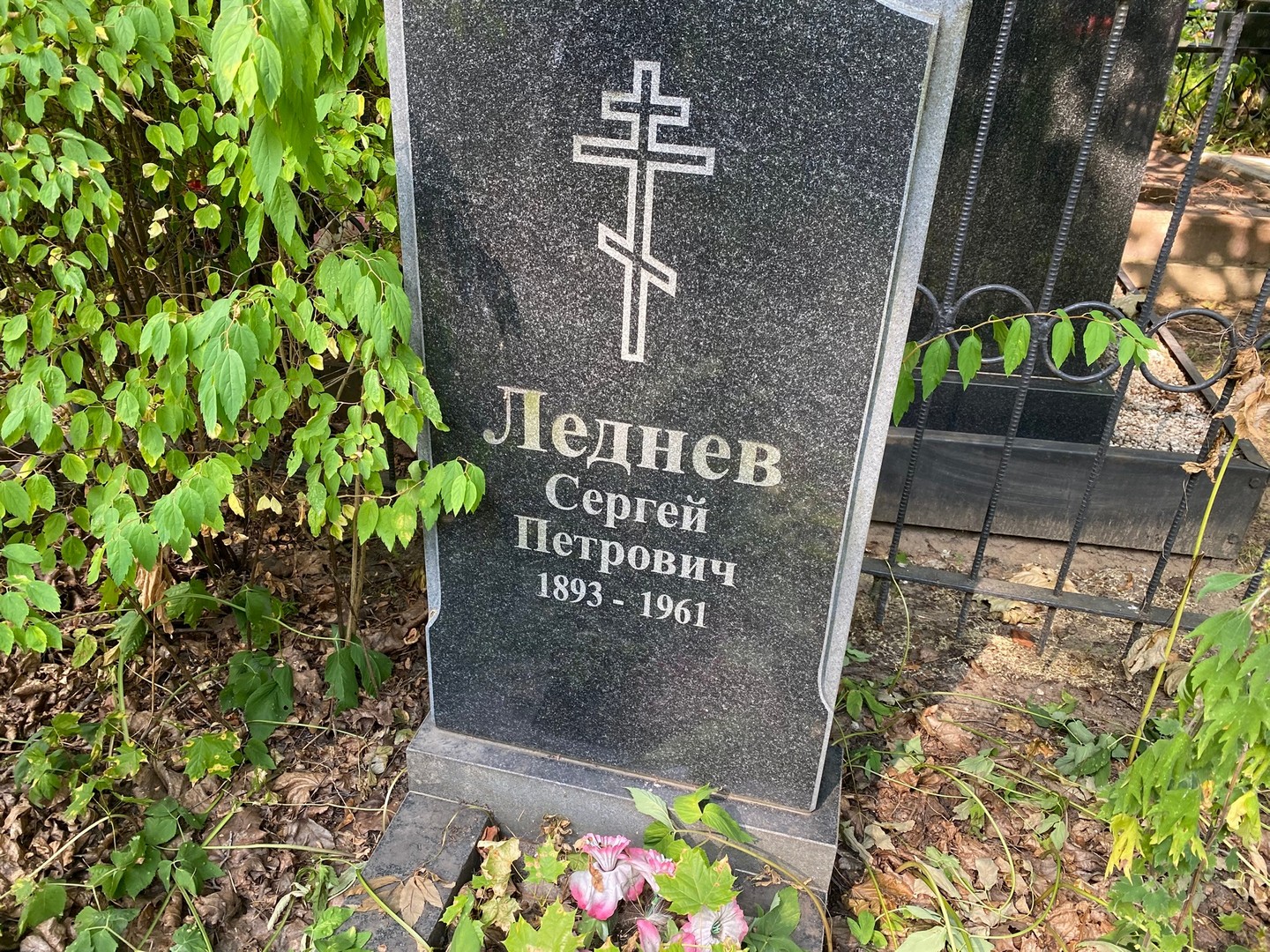 Леднев