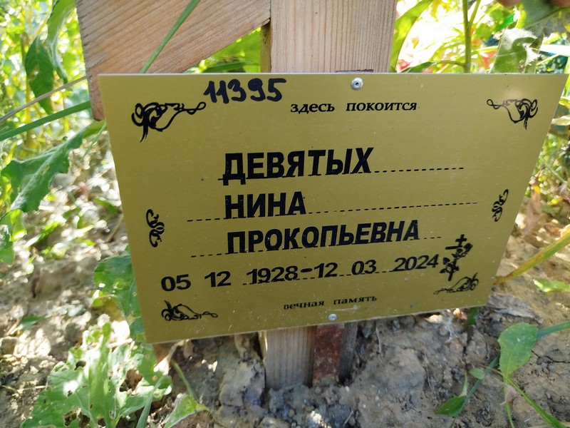 Девятых