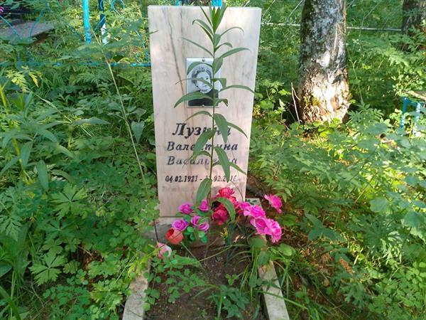 Лузина Валентина Васильевна