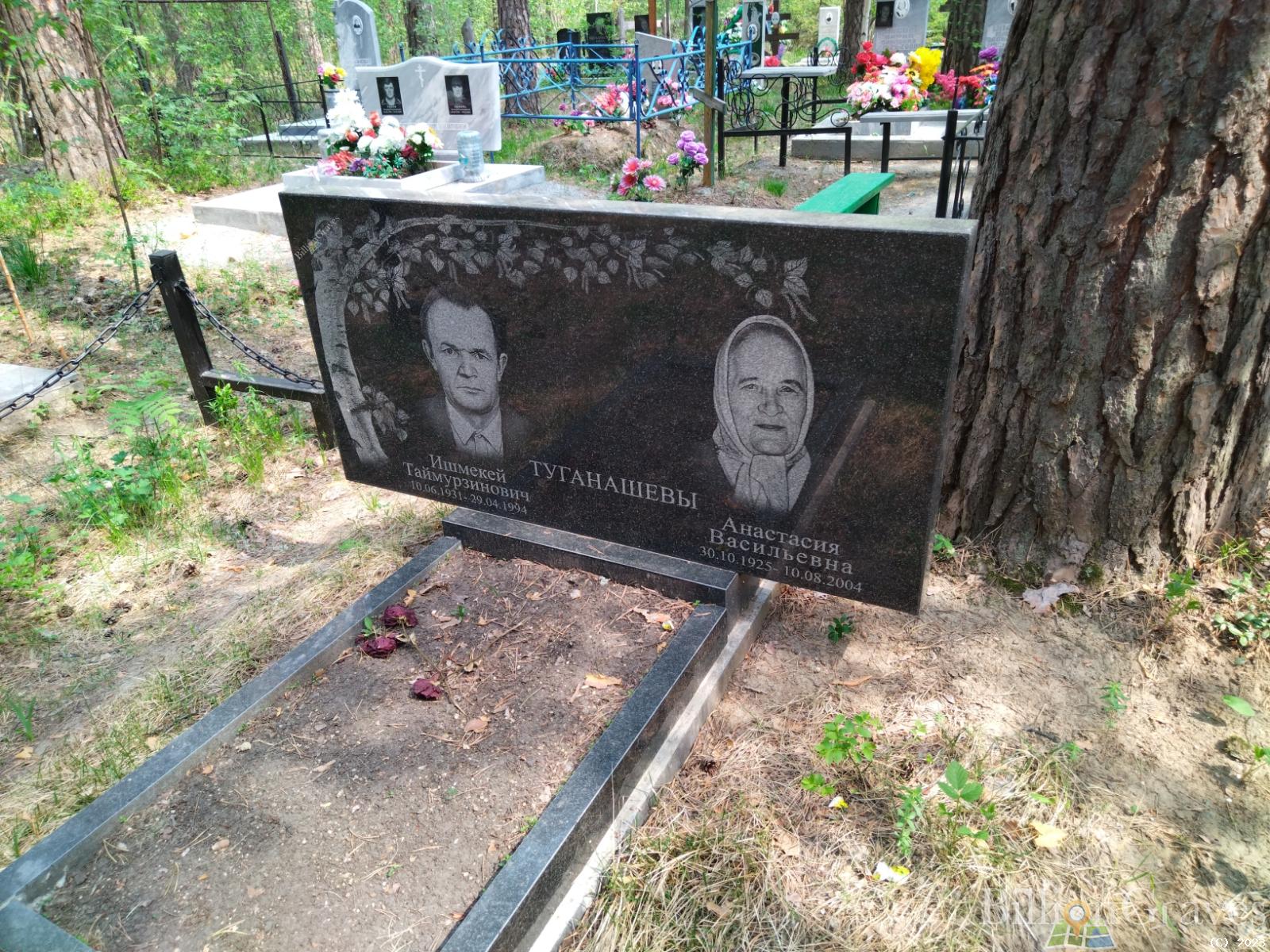 Туганашева Анастасия Васильевна