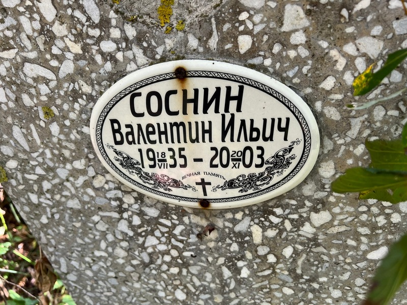 Соснин