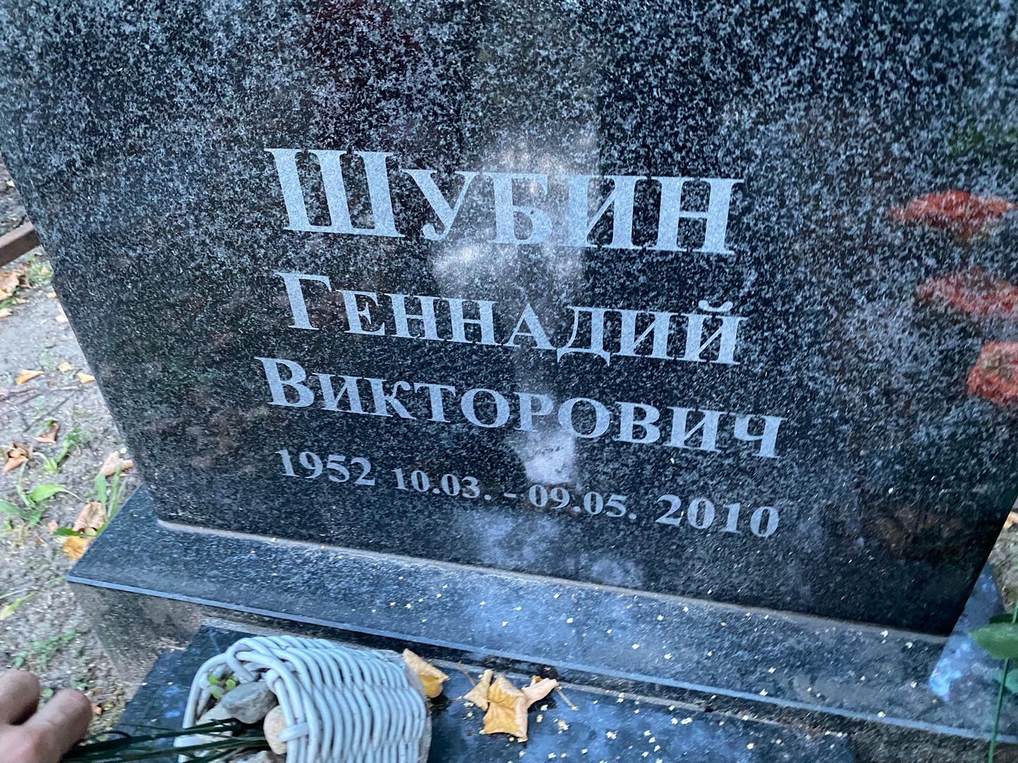 Шубин