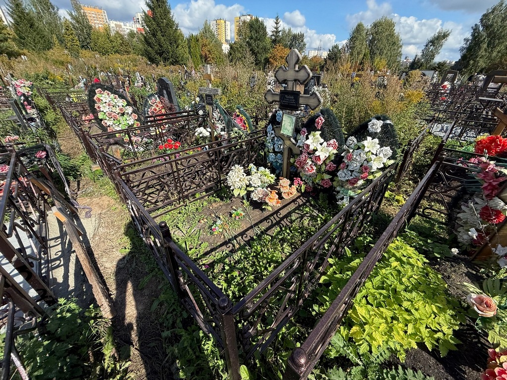 Чайка Александр Иванович