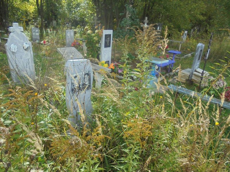 Мехоношина Анна Тихоновна