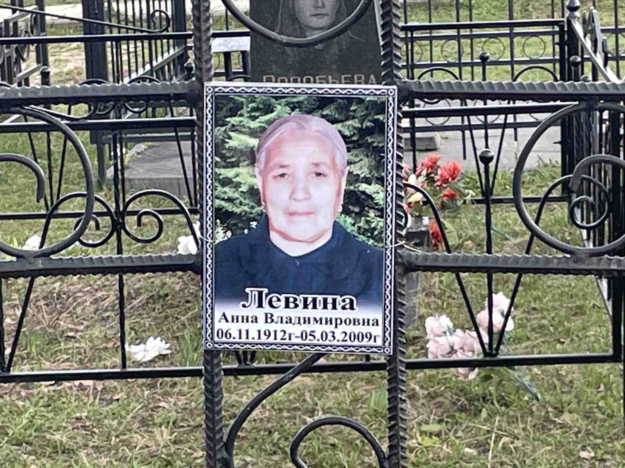 Левина Анна Владимировна