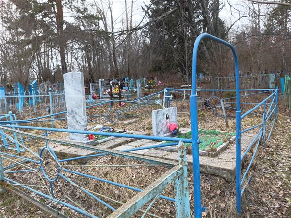 Девятериков Михаил Данилович