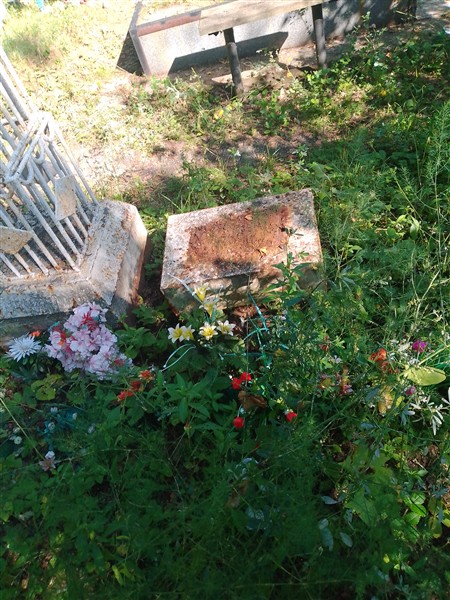 Фролов Николай Дмитриевич