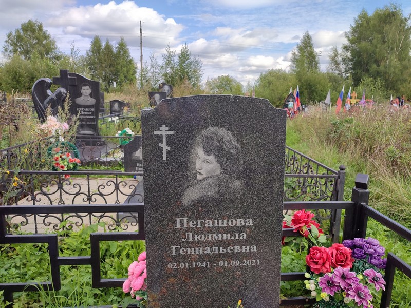 Пегашова