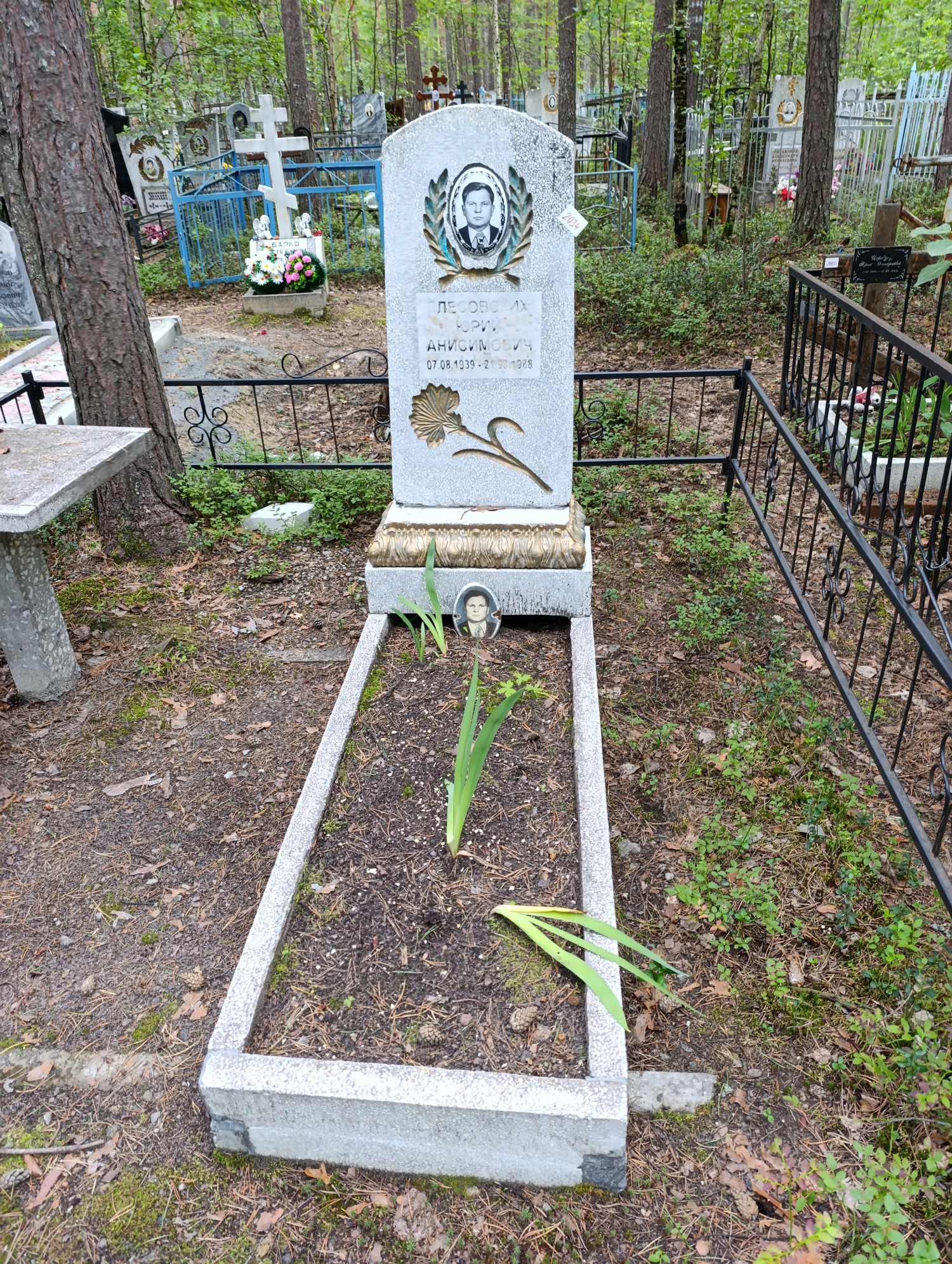 Плесовских Юрий Анисимович