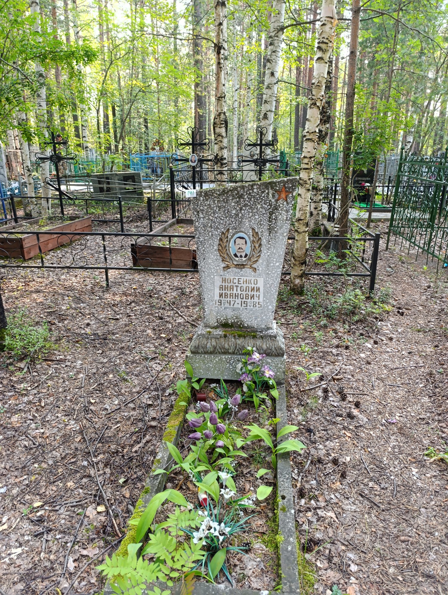 Носенко Анатолий Иванович
