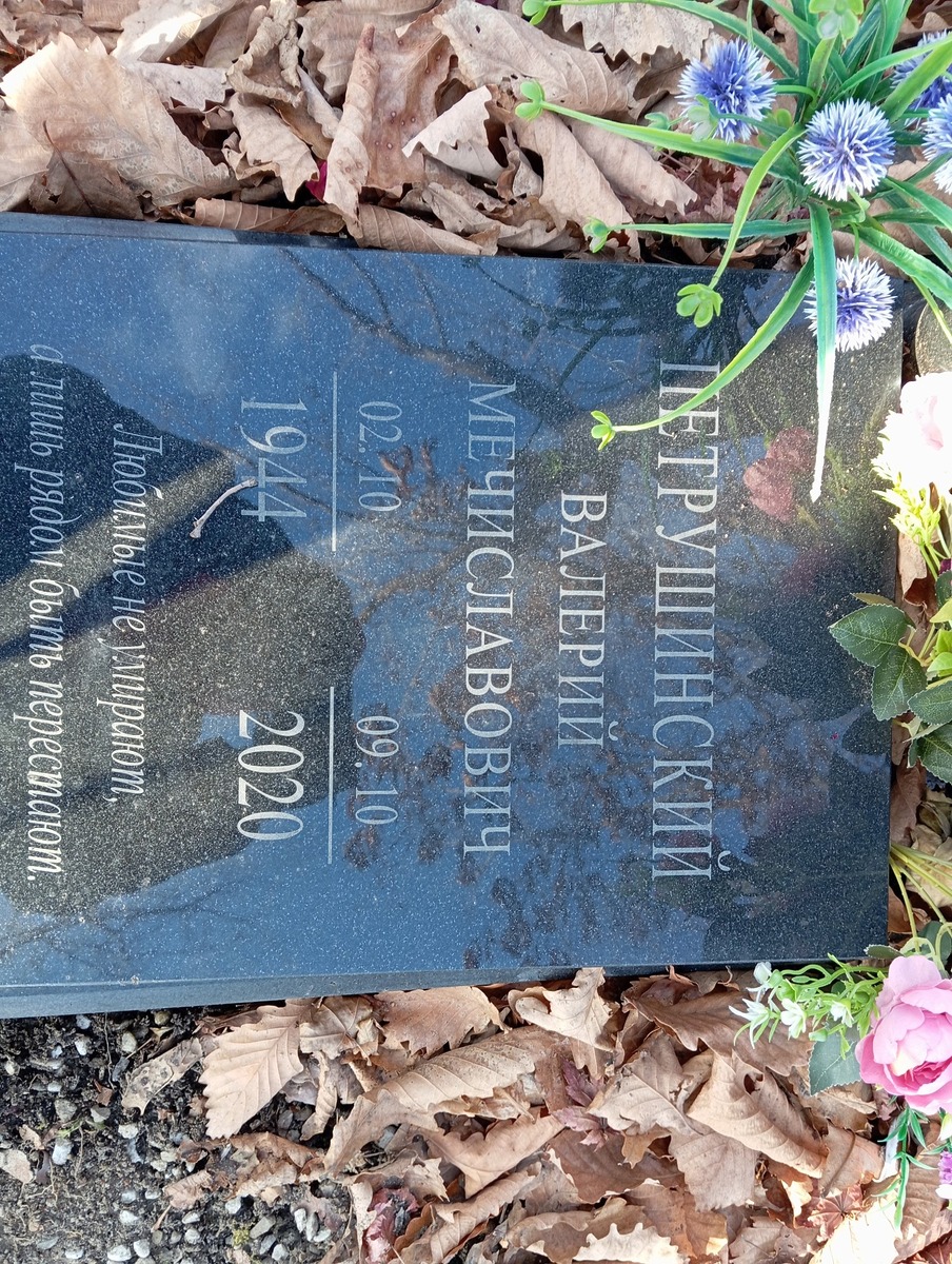 Петрушинский Валерий Мечиславович
