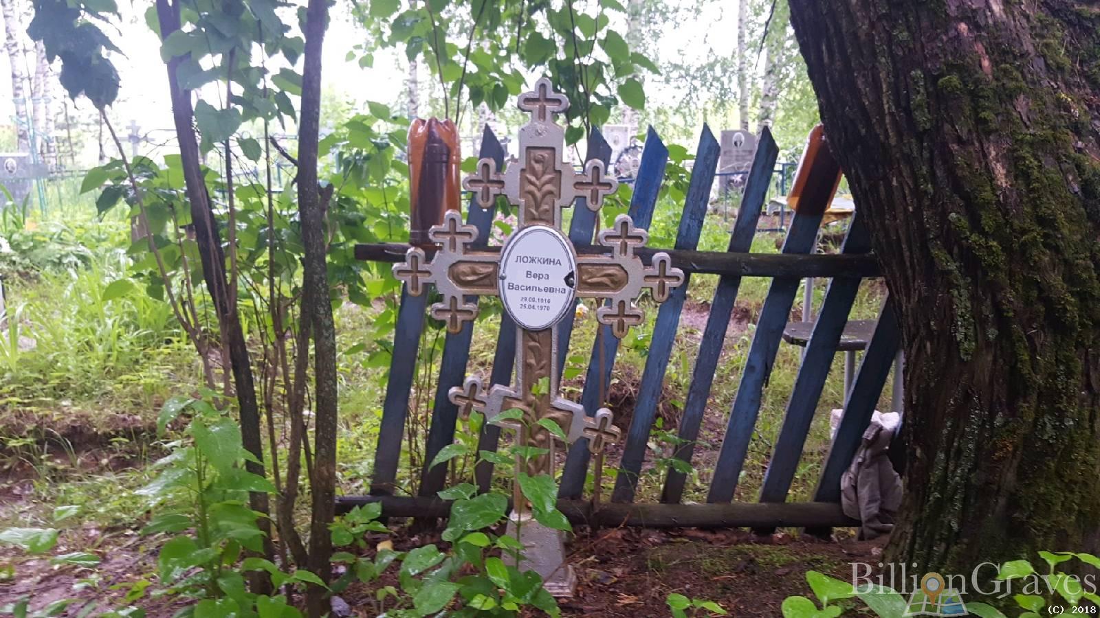 Ложкина Вера Васильевна