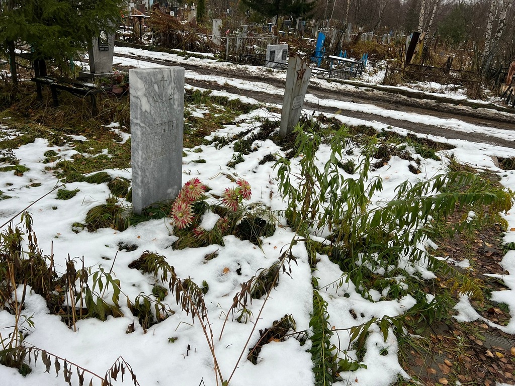 Бодрова Анастасия Павловна