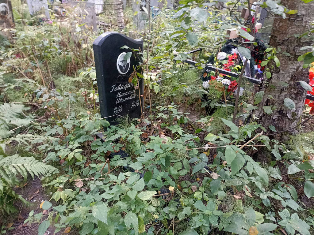 Говядинов Николай Иванович