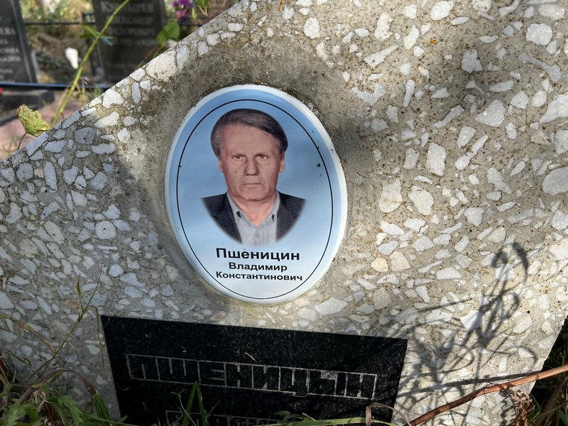 Пшеницин