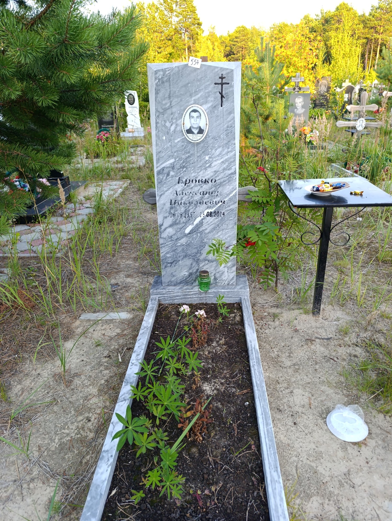 Бровко Александр Николаевич