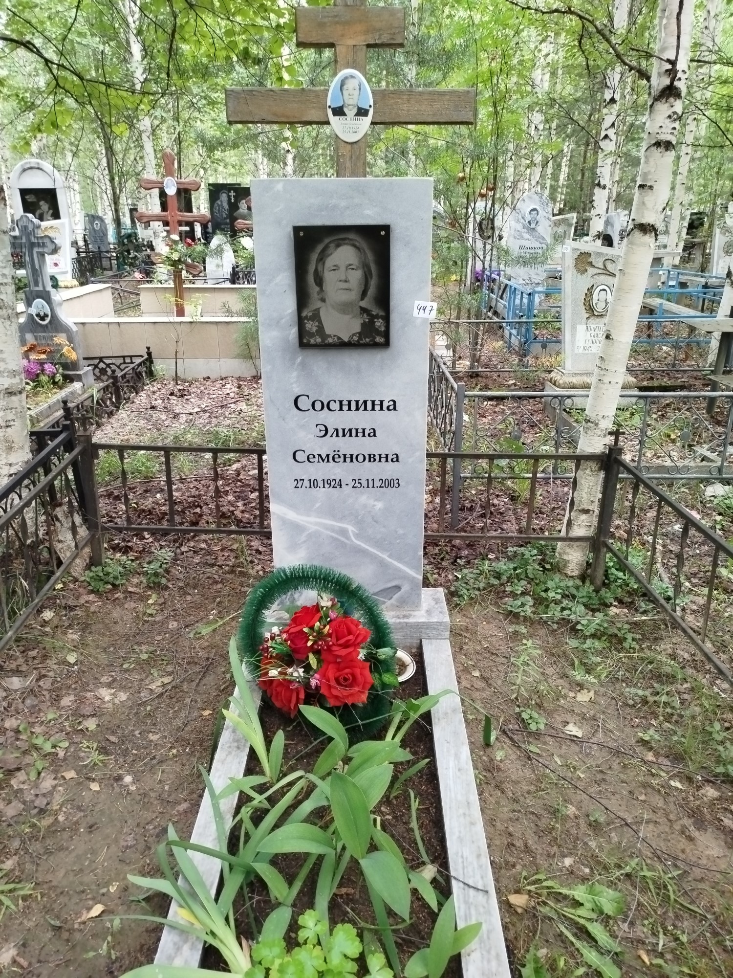 Соснина Элина Семеновна