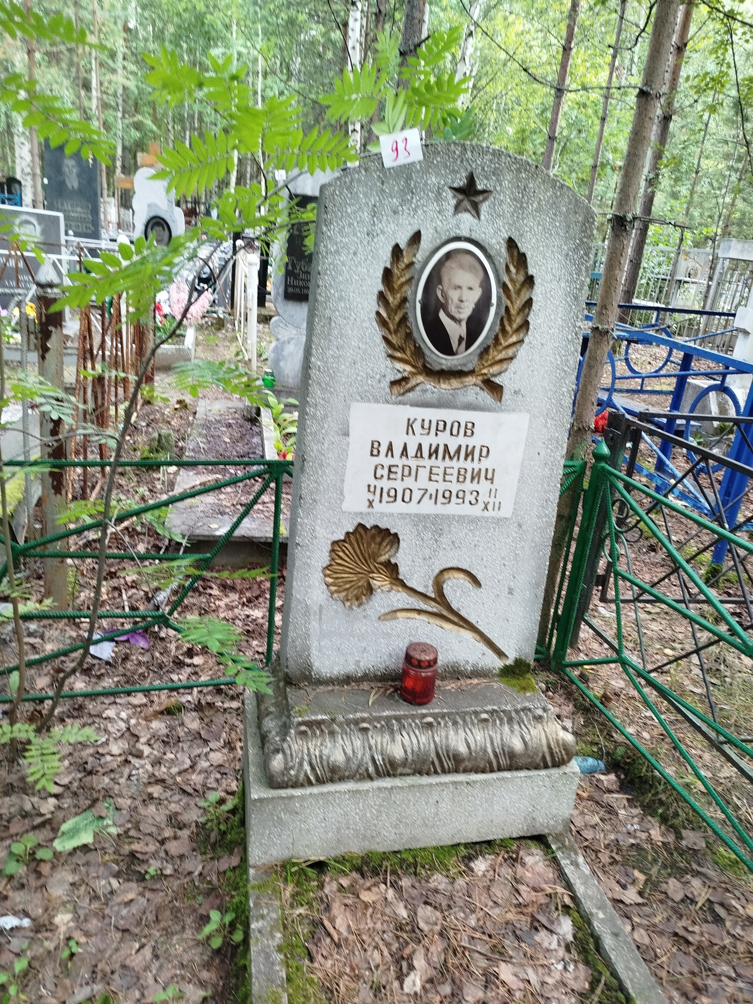 Куров Владимир Сергеевич