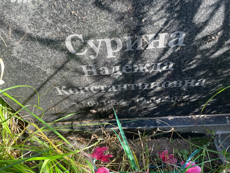 Сурина